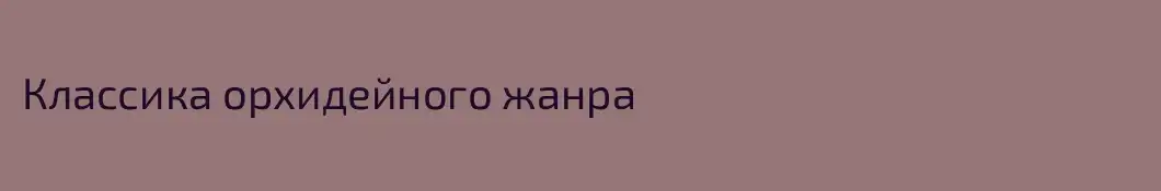 Классика орхидейного жанра